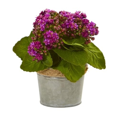 Silky Flower Store Nearly Natural Kalanchoe Artificial Arrangements Set of 3, Pink Yellow Red Blossoms, Faux Greenery Decor, 20.5cm 8 8 Product: Nearly Natural Kalanchoe Artificial Arrangements (Set of 3)