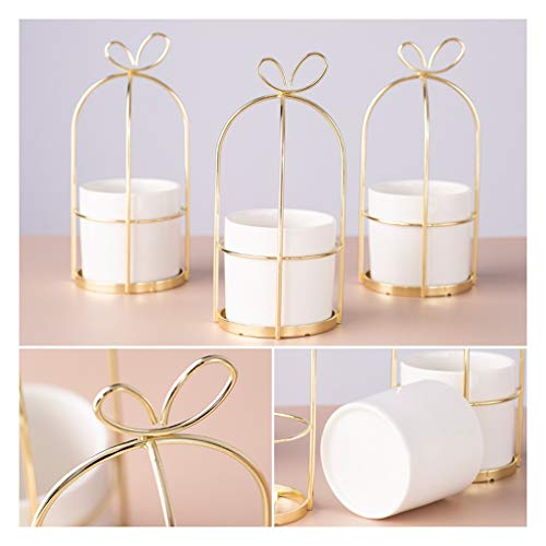 Silky Flower Store Faux Carnation Artificial Flowers, Real Feel Ceramic Pot Golden Stand, Spanish Home Decor 20.5cm 5 5 Product: Faux Carnation Decoration Real Feel Texture Artificial Flowers Desktop Ornaments with Ceramics Flower Pot Golden Hanging Stand for Home/Office/Bedroom Decoration Table Centerpiece Office Wedding Par