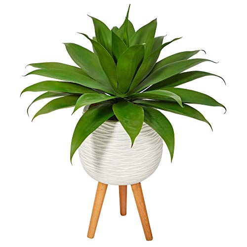 Nearly Natural 33in. Agave Succulent Artificial Plant in White Planter with Stand - Artificial Flower Arrangements Product: Nearly Natural 33in. Agave Succulent Artificial Plant in White Planter with Stand