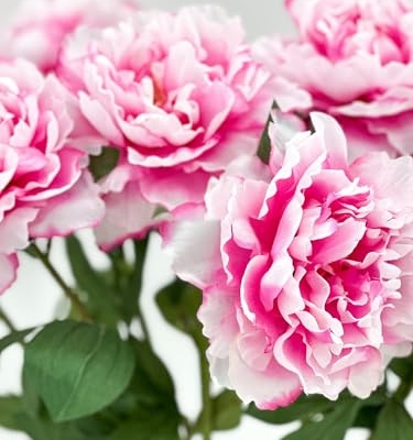 Product: 3PCS Pink/White Ombré Peony Stem,Pink Artificial Flowers, Fake Peony Bouquet for Table Centerpieces Wedding Party Home Decoration Indoor(NO VASE) for Wedding/Home Decoration