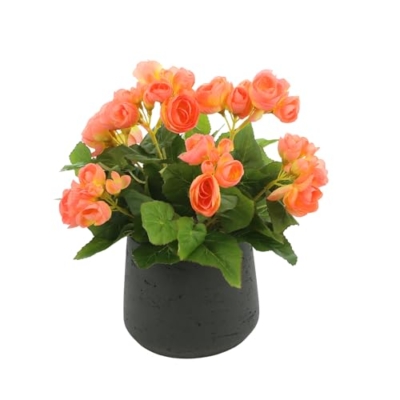 Product: Creative Displays Begonia Floral Arrangement in Fiberstone Pot, 12" H, Made in USA for Home/Office