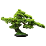 Product: MOOWI Artificial Bonsai Tree Chinese Hotel Desktop Landscaping Artificial Cypress Leaves Potted Bonsai Ornaments Artificial Bonsai Tree Artificial Trees Plants