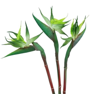 Product: WwWsyfdc 3pcs Simulated Bird of Paradise Flowers, Fake Bird of Paradise Strelitzia, Imitation Silk Plants for Home Office Wedding Table Decoration(3pcs-Green,Small)