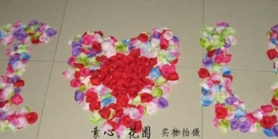 Product: Siam Circus 5000 pieces / lMany Color available raw silk artificial rose flower petals 5000pcs/lot rose decoration for wedding part