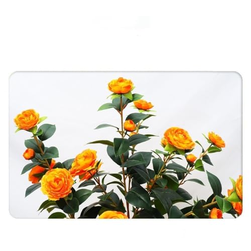 Product: Artificial Camellia Tree 2 Pack, 36" Faux Camellia Plant in Pot with Orange Flowers, Greenery Potted Plant for Indoor Outdoor Office Home Porch Decor, Orange (Back to School)