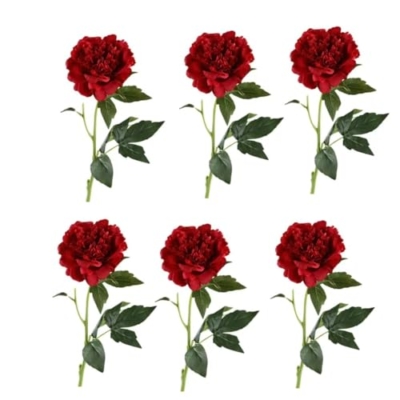 Product: 6 Stems Real Touch Peony Flower Spray with Leaves, Artificial Bridal Bouquet for Home Wedding Party Arrangement, Table Centerpiece for Wedding/Home Decoration(Pink)