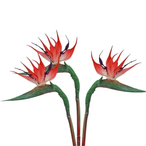 Product: WwWsyfdc 3pcs Simulated Bird of Paradise Flowers, Fake Bird of Paradise Strelitzia, Imitation Silk Plants for Home Office Wedding Table Decoration(3pcs-Red,Large)