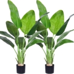 Product: Tall Fake Green Silk Tree, Beautiful Artificial Bird of Paradise Plant for Indoors and Outdoors Home Decor Garland for Table Centerpiece Holiday Party Weddi(5 FT 2 Packs)