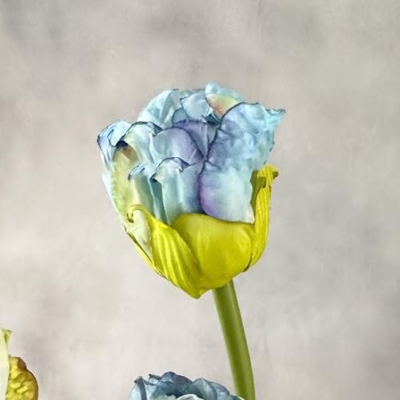 Product: 8 Heads 32" Blue Peony Bouquet, Realistic Artificial Flowers Centerpiece for Home Wedding Table Decoration(NO VASE) for Wedding/Home Decoration