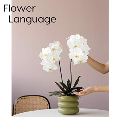 Product: Artificial Orchid Flower with Ceramics Vase Set White Phalaenopsis Flower Faux Orchid Faked Flowers Potted Plants, 23.6" H Table Centerpiece Office Wedding Party Decoration