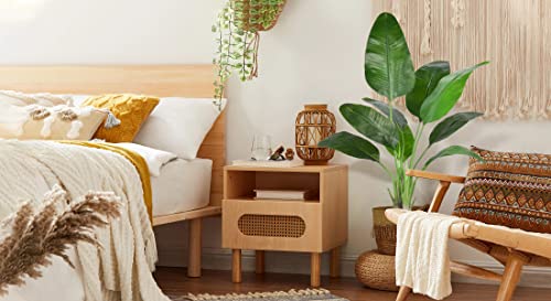 Silky Flower Store Artificial Bird of Paradise Fake Indoor Tropical Palm Potted 4FT, 2 Pack Faux Greenery Floor Plant 4 4 Product: Artificial Bird of Paradise - Fake Plants Indoor Faux Tropical Palm Potted Dypsis Lutescens for Home Office Decor Housewarming (4FT-2Packs)