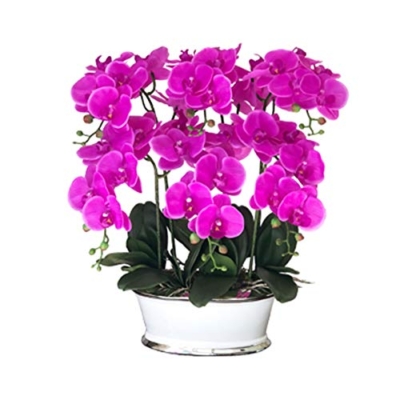 Product: Faux Purple Phalaenopsis Orchid, Butterfly Orchids with Ceramic Flower Pot, Beautiful Artificial Flowers Bonsai for Decorating Home/Office/Meeting Room/Parlor Table Centerpiece Office Wedding Party De