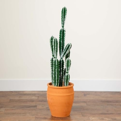 Silky Flower Store Artificial Cactus in Terracotta Planter, Desert Decor Faux Plant, 41in. ഉയ 13 13 Product: Nearly Natural 41in. Artificial Cactus in Terracotta Planter