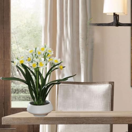 Silky Flower Store Artificial Daffodils Ceramic Vase, Realistic Silk Flower Arrangement, Yellow Black, Home Office Decor, 32.5cm 5 5 Product: SHUawan Artificial Daffodils in Ceramic Vase, Realistic Silk Flower Arrangement for Home, Wedding, Dining Table, Yellow(Black)
