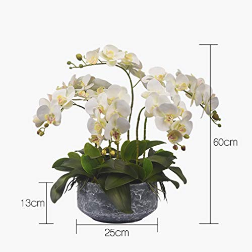 Product: QSYJCCXDL 6 Heads Artificial Orchid with Ceramic Pot Set Artificial Phalaenopsis Flower Faux Orchid for Home/Bedroom/Parlor/Dining Room Decor Table Centerpiece Office Wedding Party Decoration