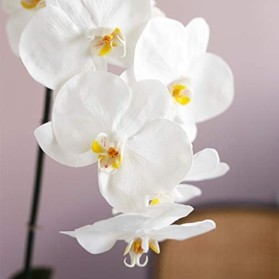 Product: Artificial Orchid Flower with Ceramics Vase Set White Phalaenopsis Flower Faux Orchid Faked Flowers Potted Plants, 23.6" H Table Centerpiece Office Wedding Party Decoration