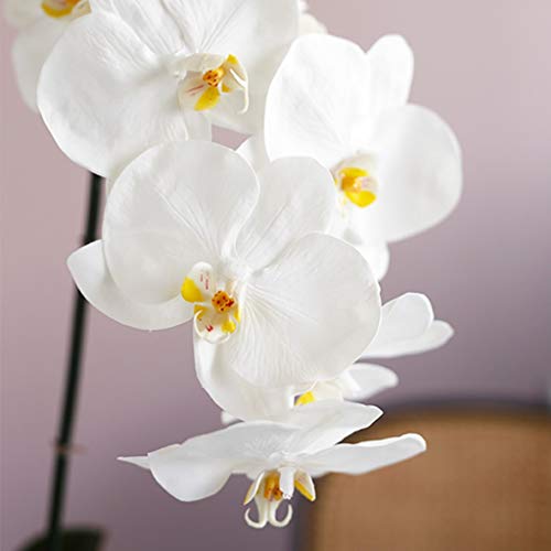 Product: Artificial Orchid Flower with Ceramics Vase Set White Phalaenopsis Flower Faux Orchid Faked Flowers Potted Plants, 23.6" H Table Centerpiece Office Wedding Party Decoration