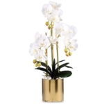 Product: 3 Heads White Artificial Orchid Flowers with Vase Set Faked Silk Flower Plant Artificial White Phalaenopsis for Home Decor Table Centerpiece Office Wedding Party Decoration