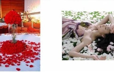 Product: Siam Circus 5000 pieces / lMany Color available raw silk artificial rose flower petals 5000pcs/lot rose decoration for wedding part