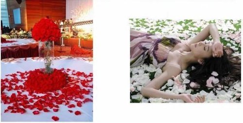 Product: Siam Circus 5000 pieces / lMany Color available raw silk artificial rose flower petals 5000pcs/lot rose decoration for wedding part