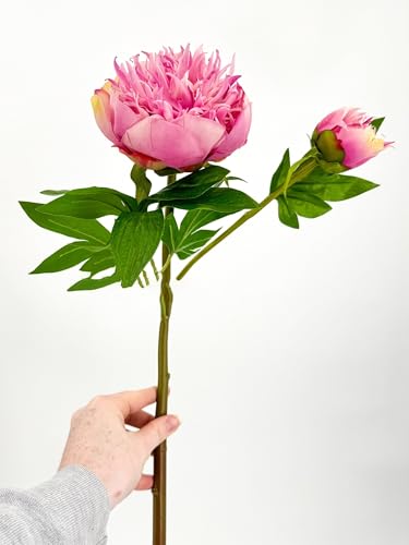 Product: 3PCS 2-Heads Pink Peony Flowers,Artificial Beautiful Plants for Wedding Home Table Centerpieces Decoration Floral Arrangement (NO VASE) for Wedding/Home Decoration