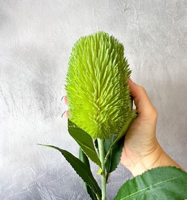 Product: 5 Stems Banksia Protea Stem,Green Artificial Long Stem Flower for Table Centerpieces Wedding Party Home Decoration Indoor(NO VASE)