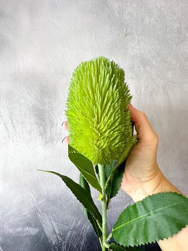 Product: 5 Stems Banksia Protea Stem,Green Artificial Long Stem Flower for Table Centerpieces Wedding Party Home Decoration Indoor(NO VASE) for Wedding/Home Decoration