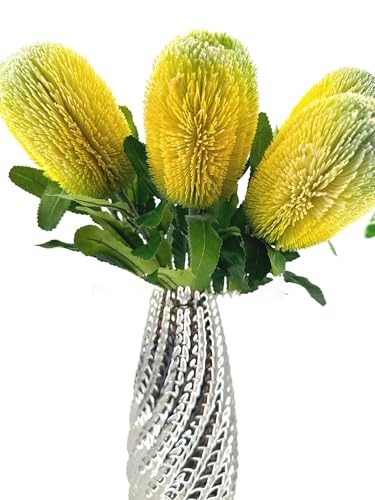 Product: 5 Stems Banksia Protea Stem, Artificial Long Stem Flower for Table Centerpieces Wedding Party Home Decoration Indoor(NO VASE)