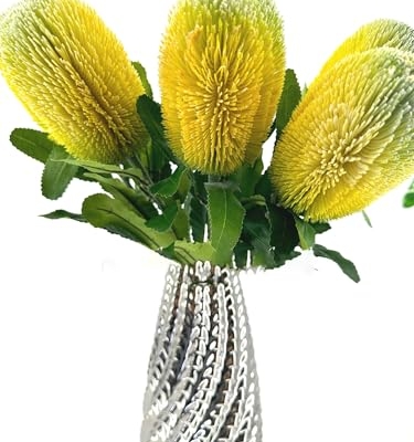 Product: 5 Stems Banksia Protea Stem, Artificial Long Stem Flower for Table Centerpieces Wedding Party Home Decoration Indoor(NO VASE) for Wedding/Home Decoration