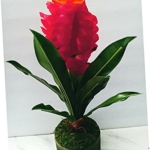 Product: Mini Artificial Bromeliad Plant Silk Flower Arrangements Realistic Craft Art Decor Plant for Indoor Outdoor Decoration