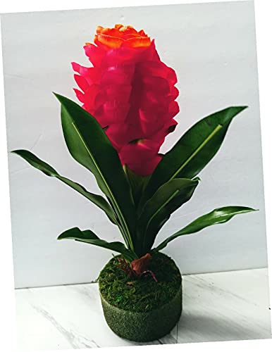 Product: Mini Artificial Bromeliad Plant Silk Flower Arrangements Realistic Craft Art Decor Plant for Indoor Outdoor Decoration
