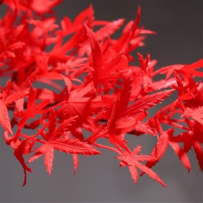 Product: Artificial Bonsai Tree Floor Artificial Bonsai Tree Ornaments Maple Tree Landscaping Living Room Decoration Office Fake Plants Artificial Trees Plants