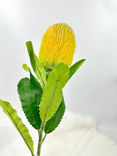 Product: 5 Stems Banksia Protea Stem, Artificial Long Stem Flower for Table Centerpieces Wedding Party Home Decoration Indoor(NO VASE)
