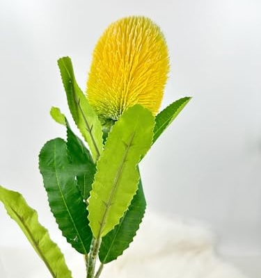 Product: 5 Stems Banksia Protea Stem, Artificial Long Stem Flower for Table Centerpieces Wedding Party Home Decoration Indoor(NO VASE) for Wedding/Home Decoration