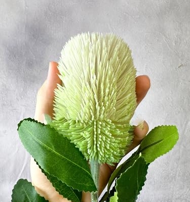 Product: 5 Stems Banksia Protea Stem,Artificial Long Stem Flower for Table Centerpieces Wedding Party Home Decoration Indoor(NO VASE)