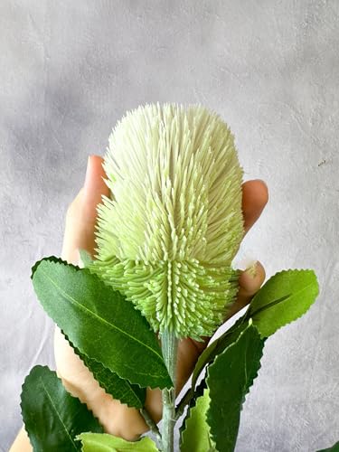 Product: 5 Stems Banksia Protea Stem,Artificial Long Stem Flower for Table Centerpieces Wedding Party Home Decoration Indoor(NO VASE)