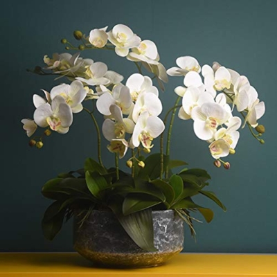 Product: QSYJCCXDL 6 Heads Artificial Orchid with Ceramic Pot Set Artificial Phalaenopsis Flower Faux Orchid for Home/Bedroom/Parlor/Dining Room Decor Table Centerpiece Office Wedding Party Decoration