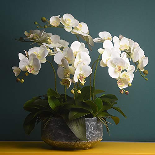 Product: QSYJCCXDL 6 Heads Artificial Orchid with Ceramic Pot Set Artificial Phalaenopsis Flower Faux Orchid for Home/Bedroom/Parlor/Dining Room Decor Table Centerpiece Office Wedding Party Decoration