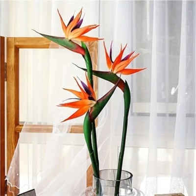 Silky Flower Store Artificial Bird of Paradise Flowers, Fake Strelitzia Silk Stem, Red Decorative Floral Spray, Small 19.7in 13 13 Product: WwWsyfdc 3pcs Simulated Bird of Paradise Flowers, Fake Bird of Paradise Strelitzia, Imitation Silk Plants for Home Office Wedding Table Decoration(3pcs-Red,Small)