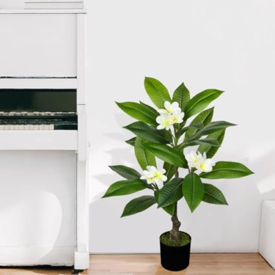 Product: Briful Artificial Plants Indoor 26.77'' Fake Tropical Plumeria Flowers Tree Plants in Black Pot Hawaiian White Plumeria Rubra Faux Frangipani Tree Floor Plant for Home Office Wedding Decor