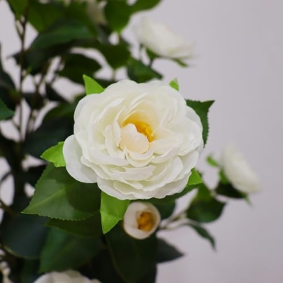 Product: 2 Pack Artificial Camellia Tree, 38 Inch Flower Plants Artificial Plant, Faux Floral Plant Blooming Tree in Cement Pot, Greenery Potted Plant for Indoor Outdoor Office Home Porch Decor
