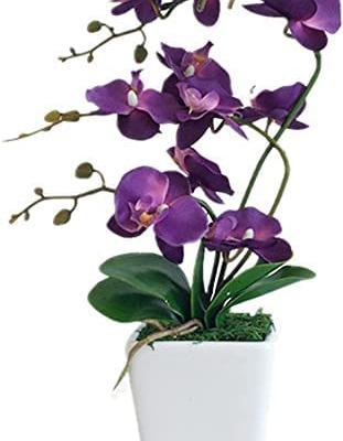Silky Flower Store Artificial Phalaenopsis Orchid Porcelain Vase, Indoor Silk Orchid Arrangement, Home Decor, 4.33in 9 9 Product: 15" Artificial Phalaenopsis w/Porcelain Vase Indoor Silk Orchid Fake Plants in Pot Faux Flowers Arrangements for Living Room Table Centerpieces Home Decor