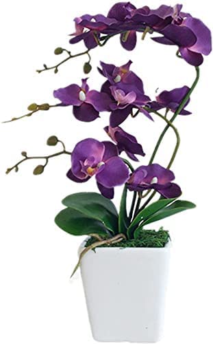 Silky Flower Store Artificial Phalaenopsis Orchid Porcelain Vase, Indoor Silk Orchid Arrangement, Home Decor, 4.33in 4 4 Product: 15" Artificial Phalaenopsis w/Porcelain Vase Indoor Silk Orchid Fake Plants in Pot Faux Flowers Arrangements for Living Room Table Centerpieces Home Decor