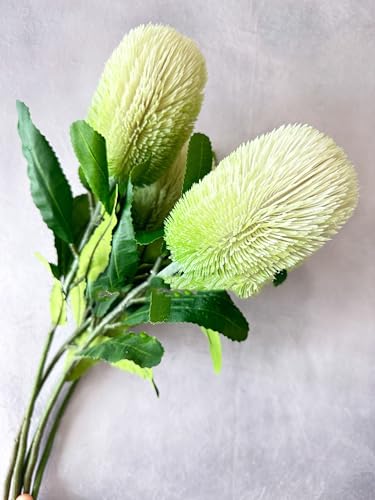 Product: 5 Stems Banksia Protea Stem,Artificial Long Stem Flower for Table Centerpieces Wedding Party Home Decoration Indoor(NO VASE)