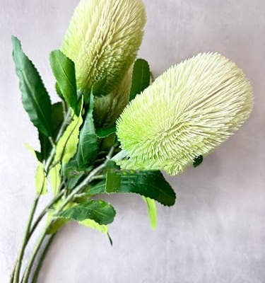 Product: 5 Stems Banksia Protea Stem,Artificial Long Stem Flower for Table Centerpieces Wedding Party Home Decoration Indoor(NO VASE) for Wedding/Home Decoration