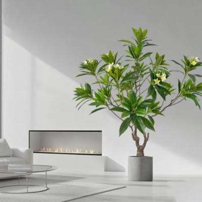 Product: Artificial PlumeriaTree with White Flowers, 7 ft Tall, Potted Plumeria Plant for Indoor Office Living Room Bedroom Garden