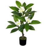 Product: Briful Artificial Plants Indoor 26.77'' Fake Tropical Plumeria Flowers Tree Plants in Black Pot Hawaiian White Plumeria Rubra Faux Frangipani Tree Floor Plant for Home Office Wedding Decor
