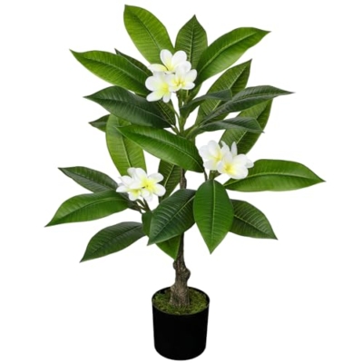 Product: Briful Artificial Plants Indoor 26.77'' Fake Tropical Plumeria Flowers Tree Plants in Black Pot Hawaiian White Plumeria Rubra Faux Frangipani Tree Floor Plant for Home Office Wedding Decor
