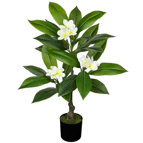 Product: Briful Artificial Plants Indoor 26.77'' Fake Tropical Plumeria Flowers Tree Plants in Black Pot Hawaiian White Plumeria Rubra Faux Frangipani Tree Floor Plant for Home Office Wedding Decor