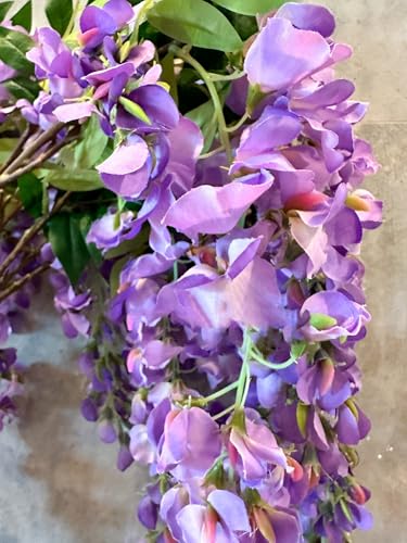 Product: 5 Stems 32”Purple Ombré Wisteria Bunch,Artificial Long Stems Plants for Table Centerpieces Wedding Party Home Decoration Indoor(NO VASE) for Wedding/Home Decoration